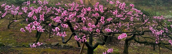 TIM图片20190325172839 - 副本.jpg TIM图片20190325172839 - 副本.jpg